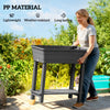 41L Self Watering Raised Garden Bed w/ Ventilation Transparent Lid Greenhouse, Planter Box w/ Storage Shelf, Black