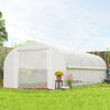 19.5' x 10' x 7.5' Tunnel Greenhouse with 3 Roll-Up Doors and Large Mesh Windows, Galvanized Steel Frame, Wind Resistant