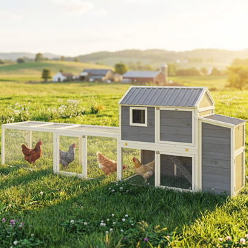 Large Chicken Coop, 134