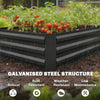 Galvanized Raised Garden Bed with Trellis for Climbing Plants, Outdoor Planter Box with Open Bottom, Black