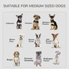 2-in-1 Dog Cage and Side Table, with Two Lockable Doors, for Medium Dogs - White
