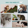 Wall-Mounted Cat Shelf with 4 Platforms and 3 Scratching Posts, Cat Wall Climber for Climbing and Lounging, Light Grey