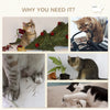 5PCs Cat Wall Shelves with Scratching Post, Ladder, Cat Bed, Jumping Platform, Perches, Toy Ball, Step