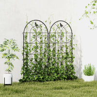 Garden & Planters
