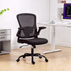 Ergonomic Mesh Office Chair with 4D Lumbar Support, Swivel Desk Chair with Flip-up Armrests, Tilt Function, Grey