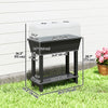 41L Self Watering Raised Garden Bed w/ Ventilation Transparent Lid Greenhouse, Planter Box w/ Storage Shelf, Black